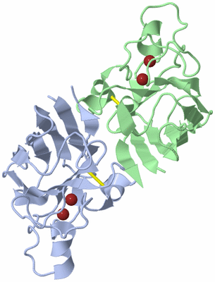 Image Biological Unit 1