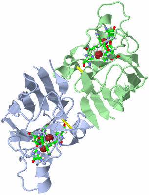 Image Biol. Unit 1 - sites