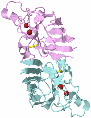 Image Biological Unit 3