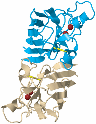 Image Biological Unit 5