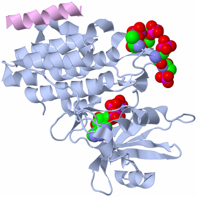 Image Biological Unit 1