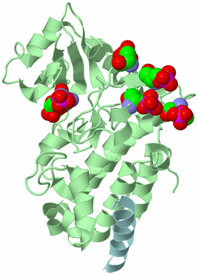 Image Biological Unit 2