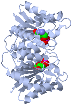 Image Biological Unit 2