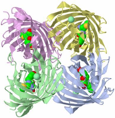 Image Biological Unit 1