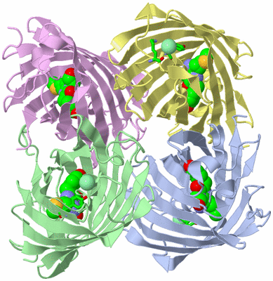 Image Biol. Unit 1 - sites