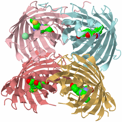 Image Biological Unit 2