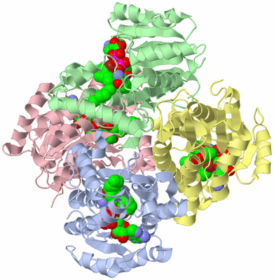 Image Asym./Biol. Unit