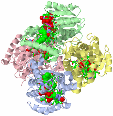 Image Asym./Biol. Unit - sites