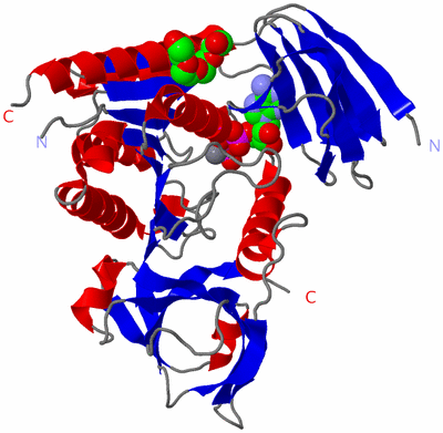 Image Asym./Biol. Unit