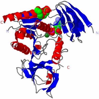 Image Asym./Biol. Unit