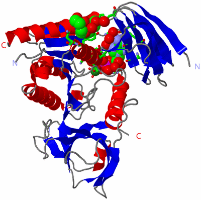 Image Asym./Biol. Unit - sites