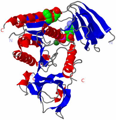 Image Asym./Biol. Unit