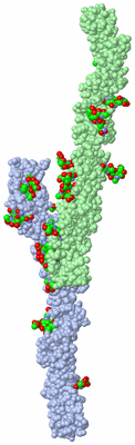 Image Asym. Unit - sites