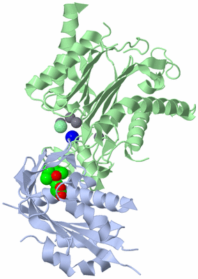 Image Asym./Biol. Unit