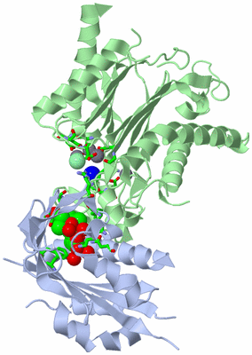 Image Asym./Biol. Unit - sites