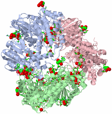 Image Asym./Biol. Unit - sites