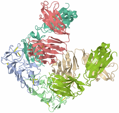 Image Asym./Biol. Unit