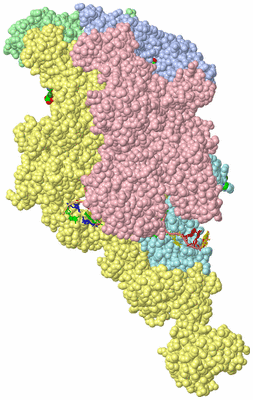 Image Asym./Biol. Unit - sites