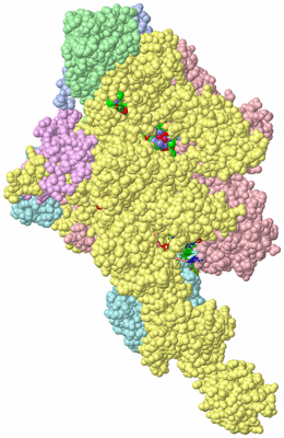 Image Asym./Biol. Unit - sites