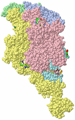 Image Asym./Biol. Unit - sites