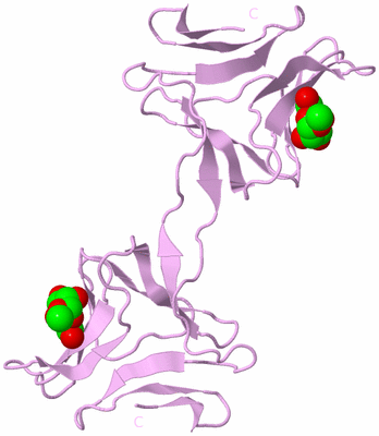 Image Biological Unit 3