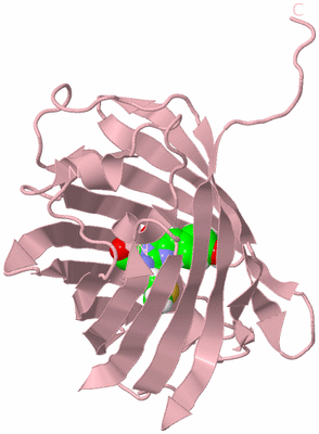 Image Biological Unit 3