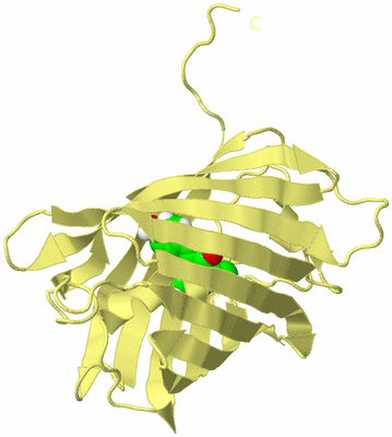 Image Biological Unit 4