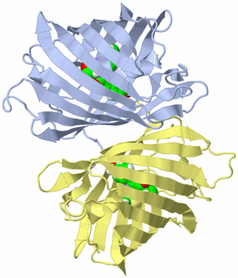 Image Biological Unit 5