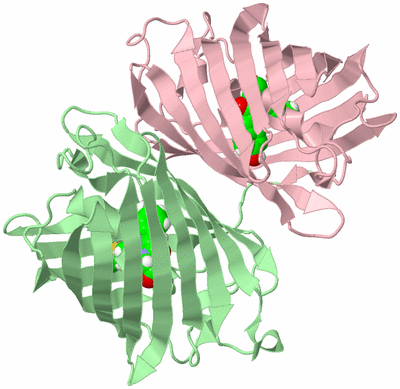 Image Biological Unit 6