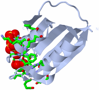 Image Biol. Unit 1 - sites