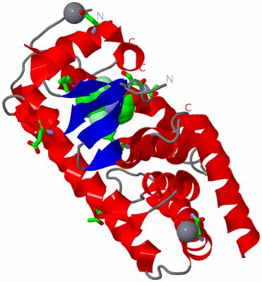 Image Asym. Unit - sites