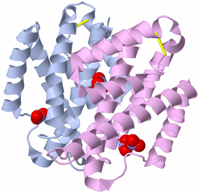 Image Biological Unit 1