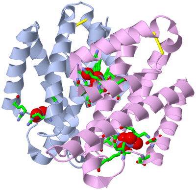 Image Biol. Unit 1 - sites