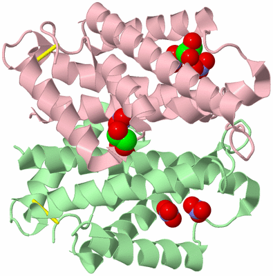 Image Biological Unit 2