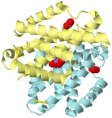 Image Biological Unit 3