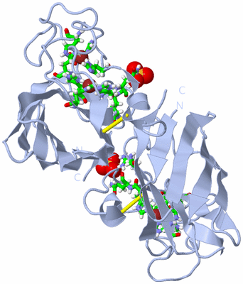 Image Biol. Unit 1 - sites