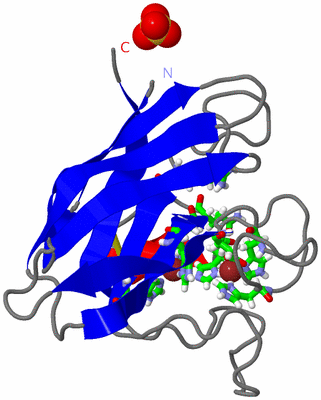 Image Asym. Unit - sites