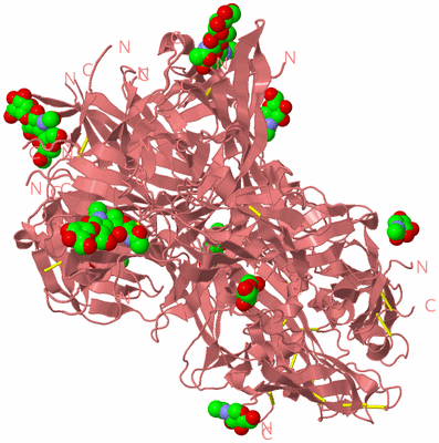 Image Biological Unit 1