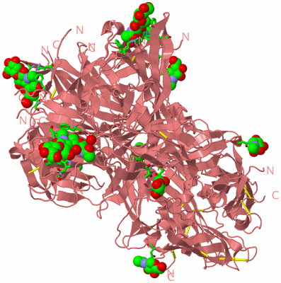 Image Biol. Unit 1 - sites