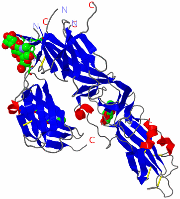 Image Asym. Unit - sites