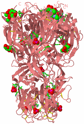 Image Biol. Unit 1 - sites