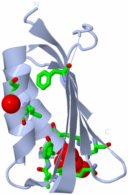 Image Biol. Unit 1 - sites