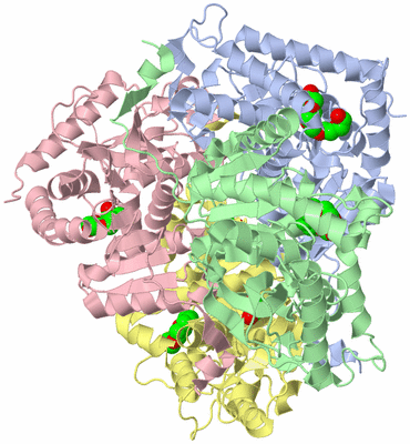 Image Biological Unit 1