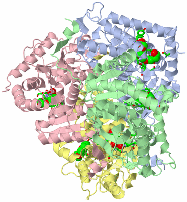 Image Biol. Unit 1 - sites