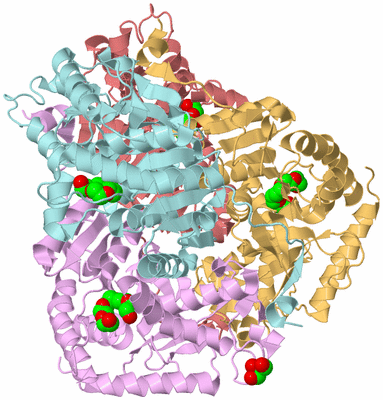 Image Biological Unit 2