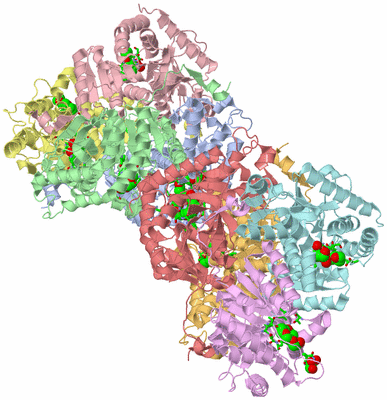 Image Asym. Unit - sites