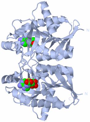 Image Biological Unit 1