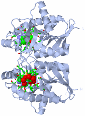 Image Biol. Unit 1 - sites