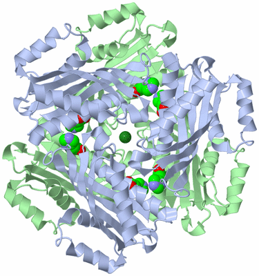 Image Biological Unit 1