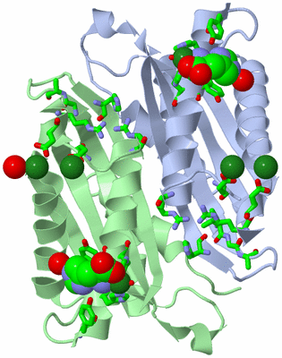 Image Asym. Unit - sites